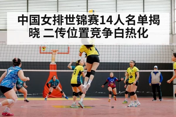 chinese women volleyball team